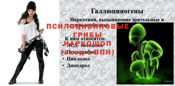 герыч Алексин