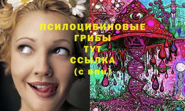 герыч Алексин